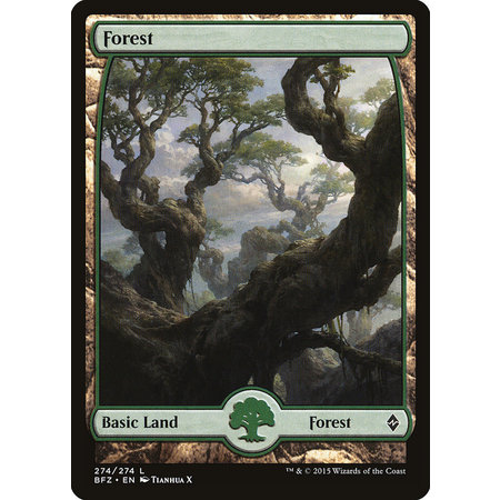 Forest (274) - Full Art - Foil