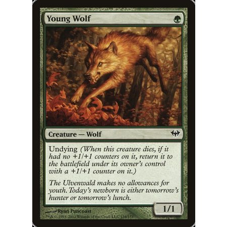 Young Wolf - Foil
