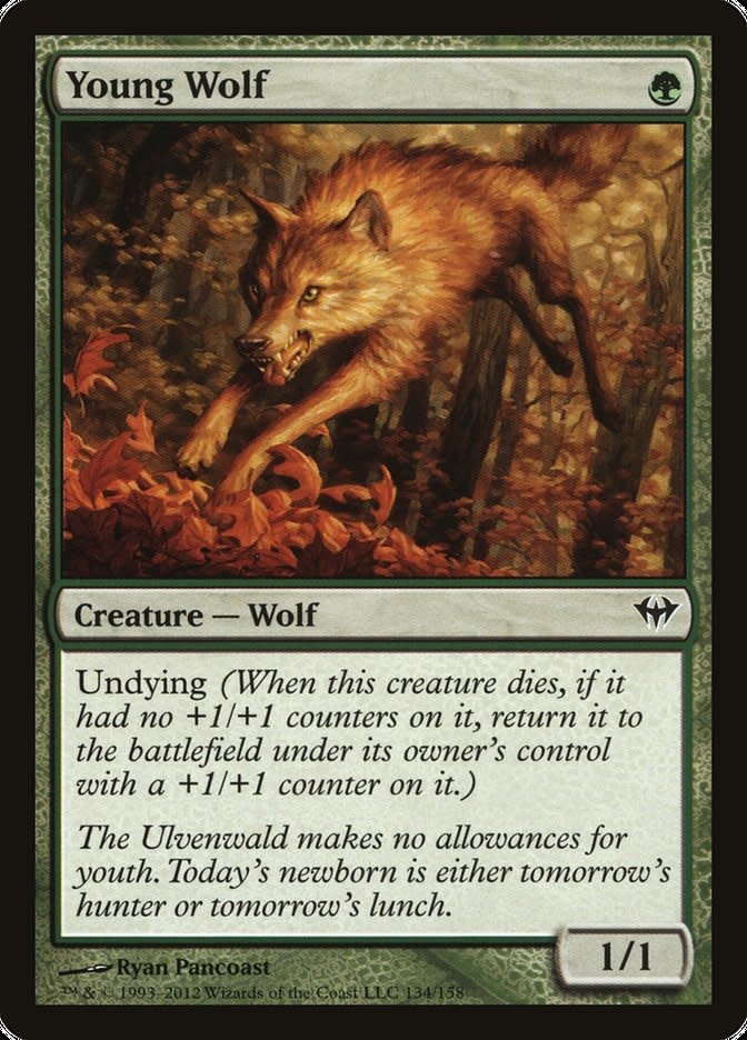 Young Wolf - Foil