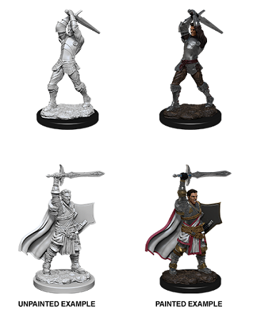 D&D Unpainted Minis - Human Paladin (Male)