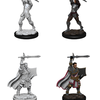 D&D Unpainted Minis - Human Paladin (Male)