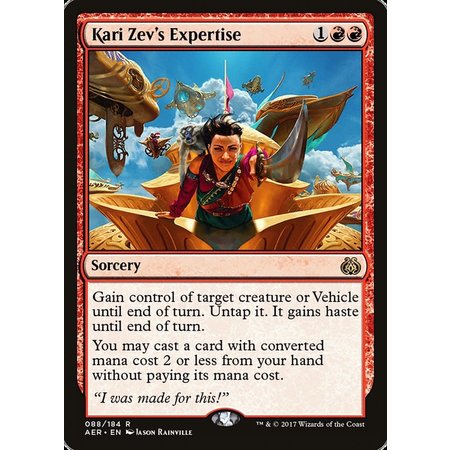 Kari Zev's Expertise
