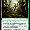 Old-Growth Dryads