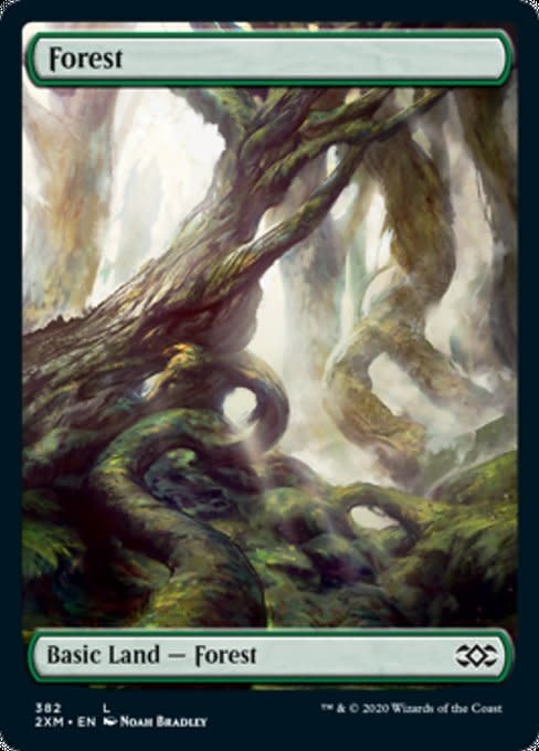 Forest (382) - Full Art - Foil