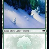 Snow-Covered Forest (284) - Foil