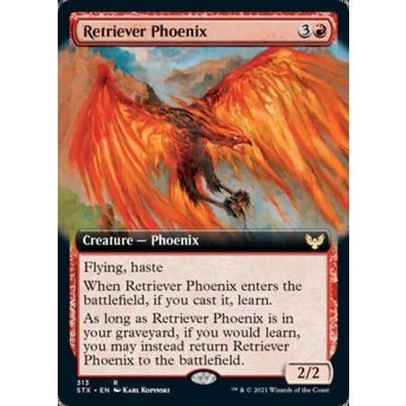 Retriever Phoenix