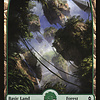 Forest (271) - Full Art