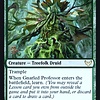 Gnarled Professor - Foil - Prerelease Promo