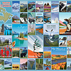 1000 - National Parks and Reserves of Canada