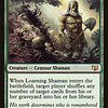 Loaming Shaman