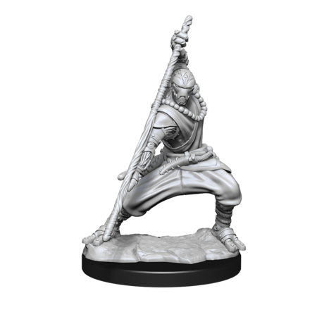 D&D Unpainted Minis - Warforged Monk