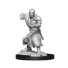 D&D Unpainted Minis - Warforged Monk