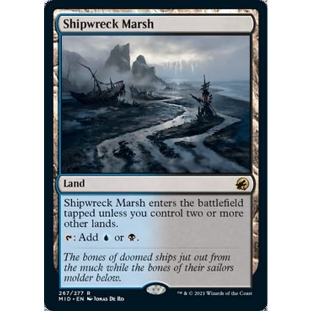 Shipwreck Marsh