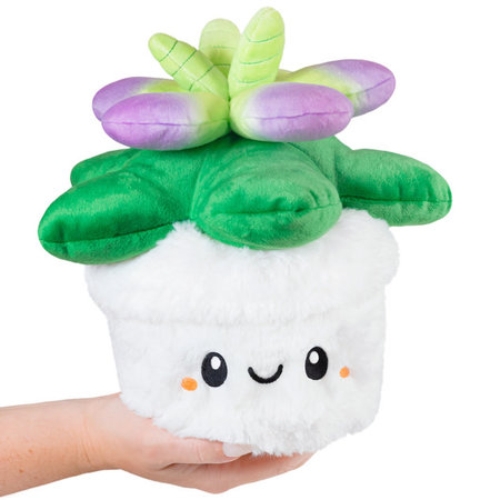 Mini Succulent Squishable