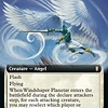 Windshaper Planetar - Foil