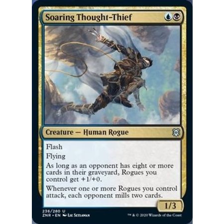 Soaring Thought-Thief