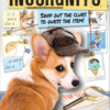 Incorgnito