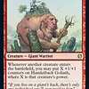 Hamletback Goliath