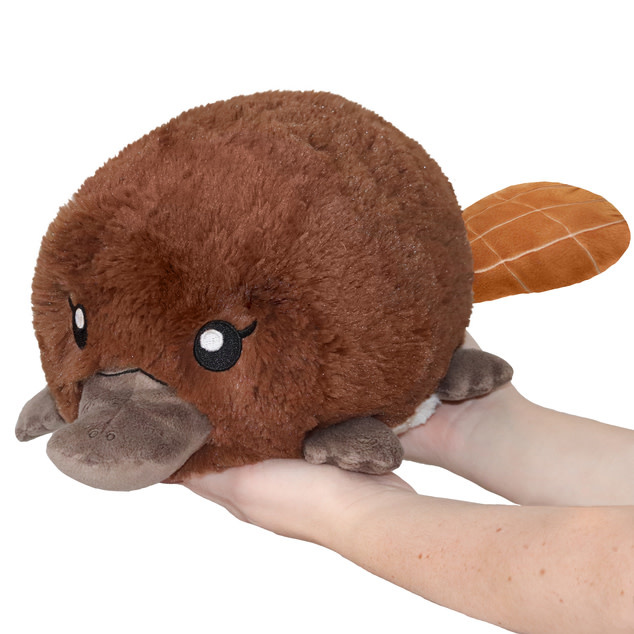 Mini Baby Platypus Squishable