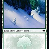 Snow-Covered Forest (284)
