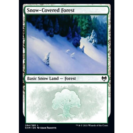 Snow-Covered Forest (284)