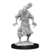 D&D Unpainted Minis - Scarecrow and Stone Cursed