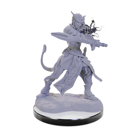 D&D Unpainted Minis - Tiefling Warlocks (Male and Female)