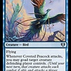 Coveted Peacock - Foil
