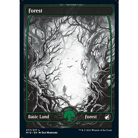 Forest (277) - Full Art - Foil