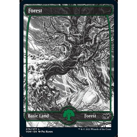 Forest (276) - Full Art - Foil