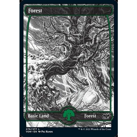 Forest (276) - Full Art