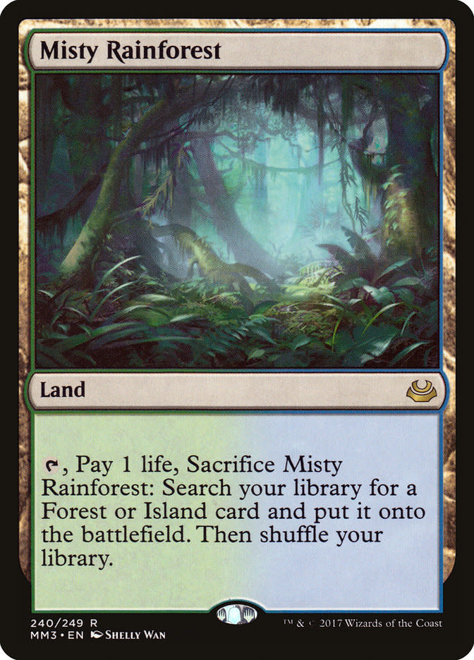 Misty Rainforest - Rain City Games