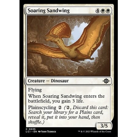 Soaring Sandwing - Foil