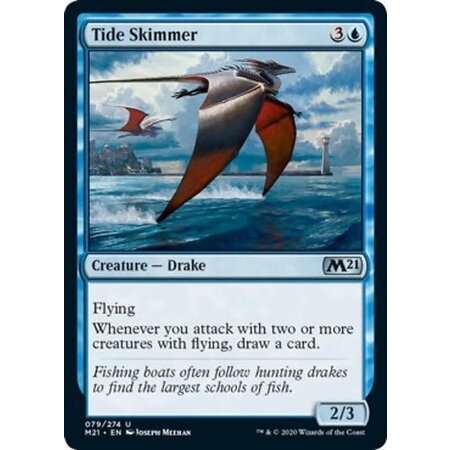 Tide Skimmer