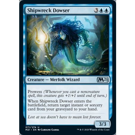 Shipwreck Dowser