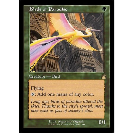 Birds of Paradise - Foil