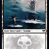 Snow-Covered Swamp (280)