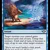 Fleeting Reflection - Foil