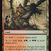 Fire-Lit Thicket
