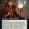 Misfortune Teller