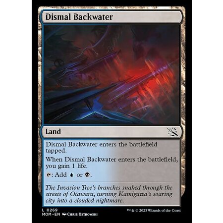 Dismal Backwater - Foil