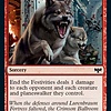 End of Festivities - Foil