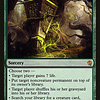 Primal Command