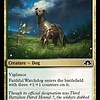 Faithful Watchdog - Foil