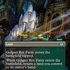 Golgari Rot Farm - Foil