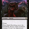 Dark Hatchling