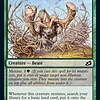 Migratory Greathorn