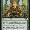Voice of the Woods