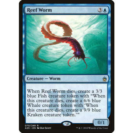 Reef Worm