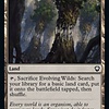 Evolving Wilds